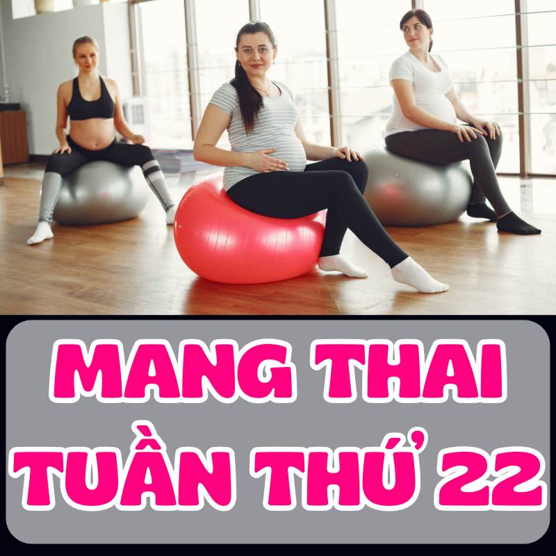 Các mẹ bầu tập thể dục thể chất ở tuần thứ 22 của thai kỳ